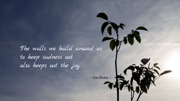 The walls we build around us to keep out sadness, also keeps out joy